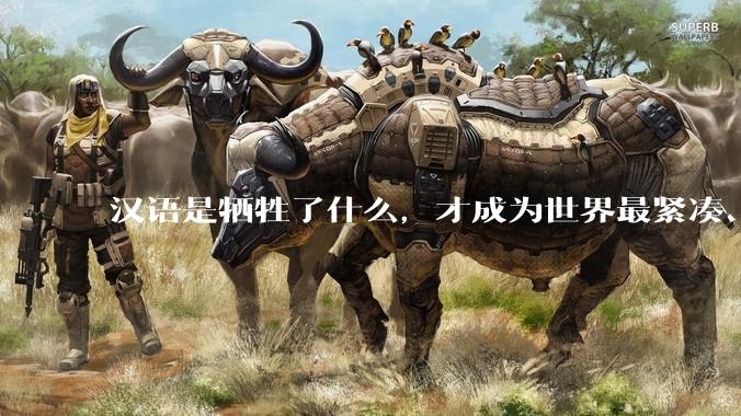 汉语是牺牲了什么，才成为世界最紧凑、最高效的语言？